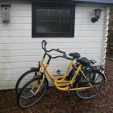 Prázdninový areál Europarcs De Woudhoeve 3*