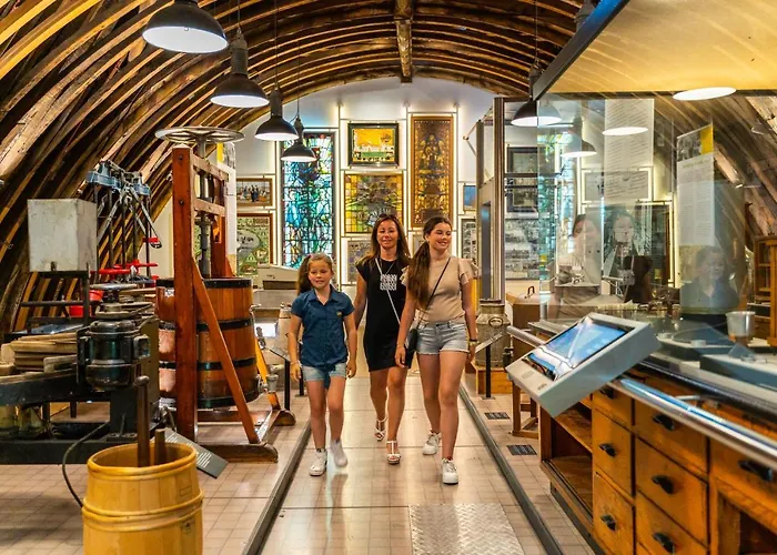 Üdülőpark Europarcs De Woudhoeve 3*