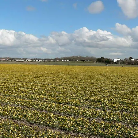 Europarcs De Woudhoeve Village de vacances